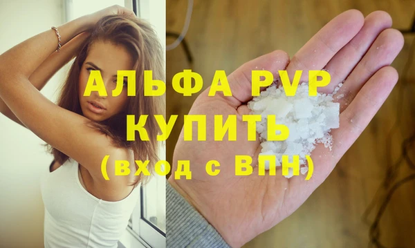 шишки Гусь-Хрустальный