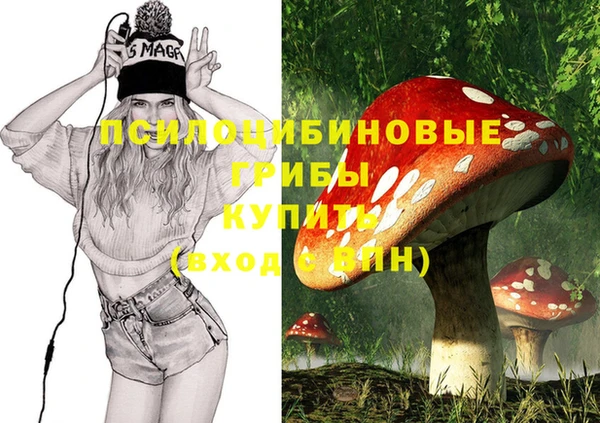 шишки Гусь-Хрустальный