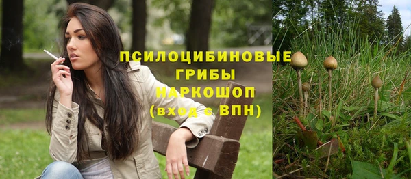 шишки Гусь-Хрустальный