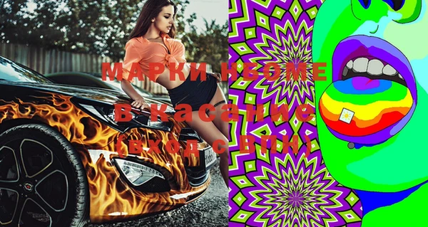 шишки Гусь-Хрустальный