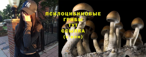 шишки Гусь-Хрустальный