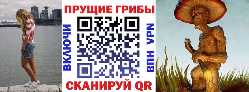 где купить   Чухлома  Галлюциногенные грибы Magic Shrooms 